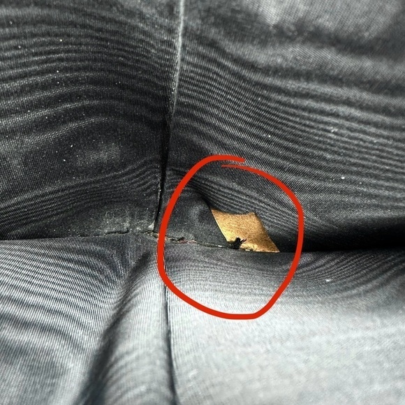 Authentic CHANEL Mini Black Caviar Leather Timeless Kisslock Compact Wallet RARE - Picture 16 of 16